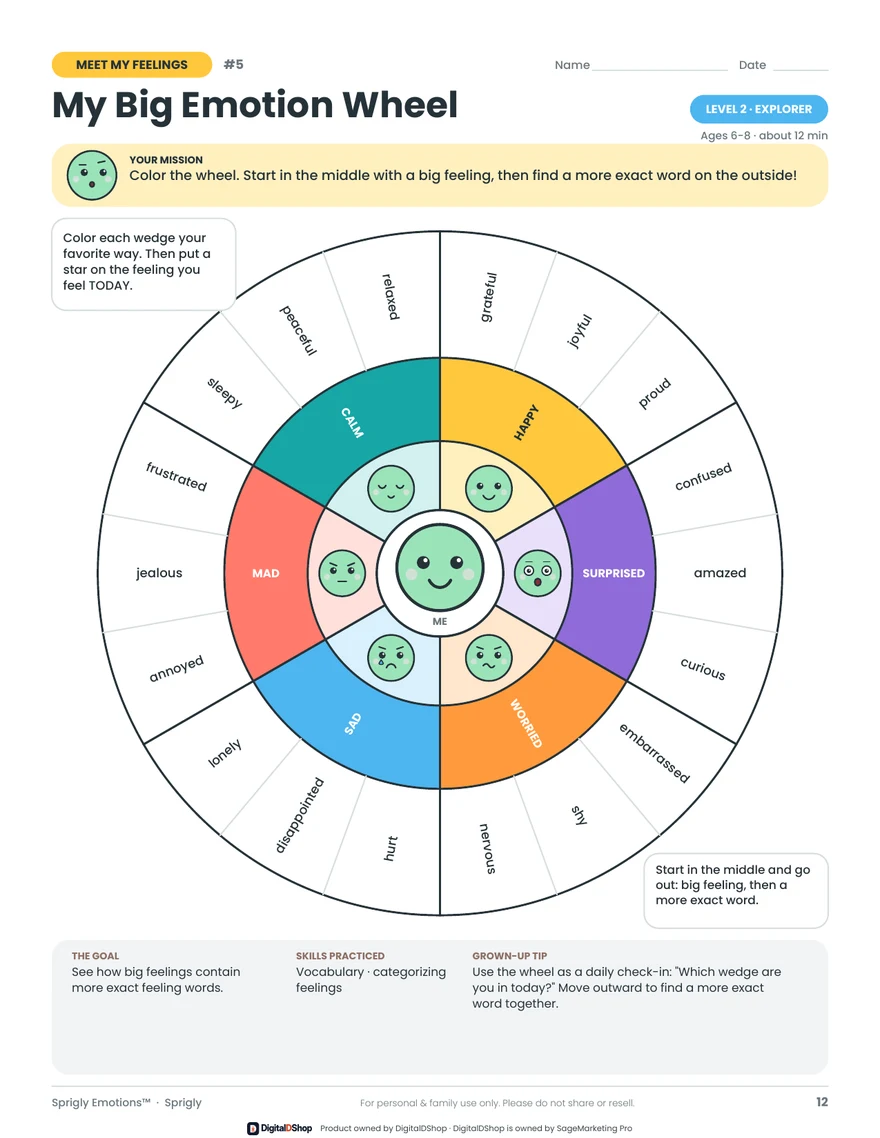 My Big Emotion Wheel